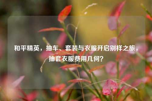和平精英,抽车、套装与衣服开启别样之旅,抽套衣服费用几何?