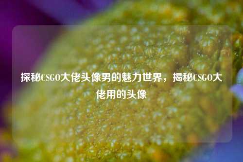 探秘CSGO大佬头像男的魅力世界,揭秘CSGO大佬用的头像