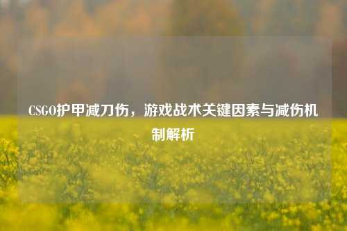 CSGO护甲减刀伤,游戏战术关键因素与减伤机制解析