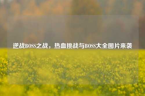 逆战BOSS之战,热血挑战与BOSS大全图片来袭