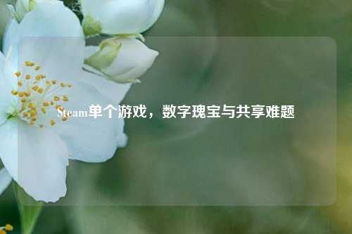 Steam单个游戏,数字瑰宝与共享难题