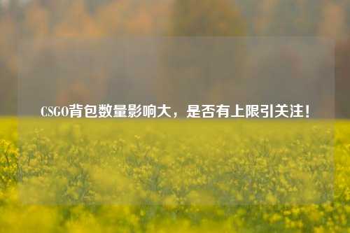 CSGO背包数量影响大,是否有上限引关注!