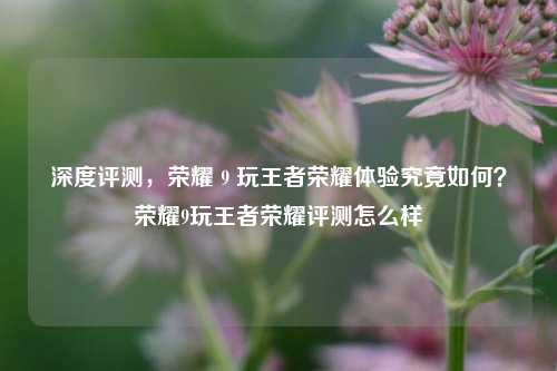 深度评测,荣耀 9 玩王者荣耀体验究竟如何?荣耀9玩王者荣耀评测怎么样
