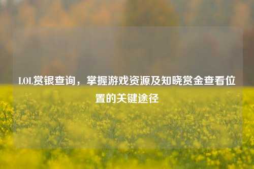LOL赏银查询,掌握游戏资源及知晓赏金查看位置的关键途径