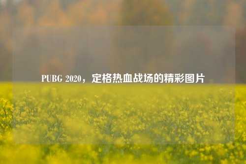PUBG 2020,定格热血战场的精彩图片