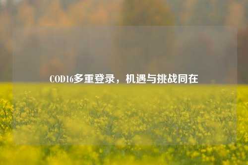 COD16多重登录，机遇与挑战同在