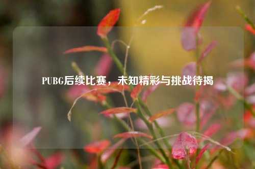 PUBG后续比赛,未知精彩与挑战待揭