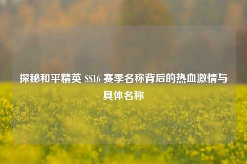 探秘和平精英 SS16 赛季名称背后的热血激情与具体名称