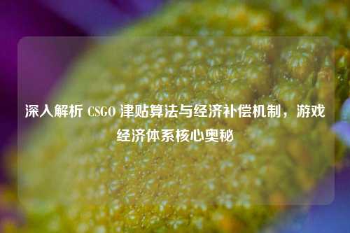 深入解析 CSGO 津贴算法与经济补偿机制,游戏经济体系核心奥秘