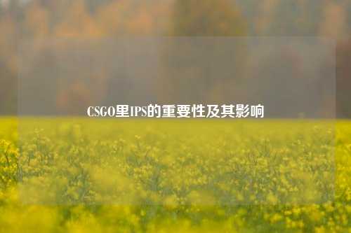 CSGO里IPS的重要性及其影响