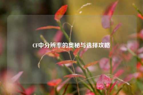 CF中分辨率的奥秘与选择攻略