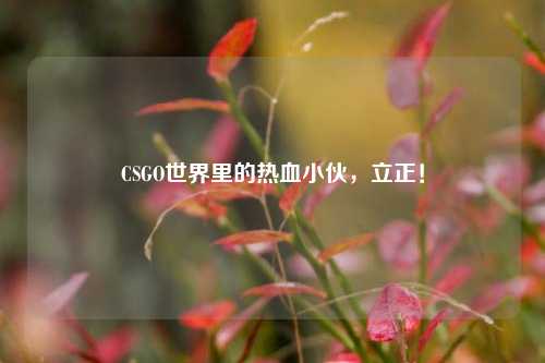 CSGO世界里的热血小伙，立正！
