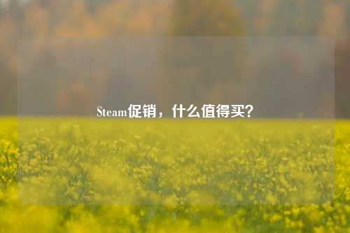 Steam促销,什么值得买?