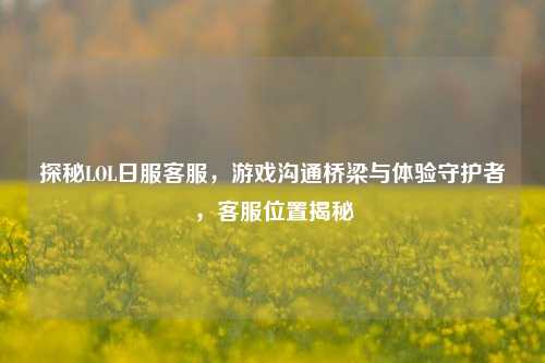 探秘LOL日服客服，游戏沟通桥梁与体验守护者，客服位置揭秘