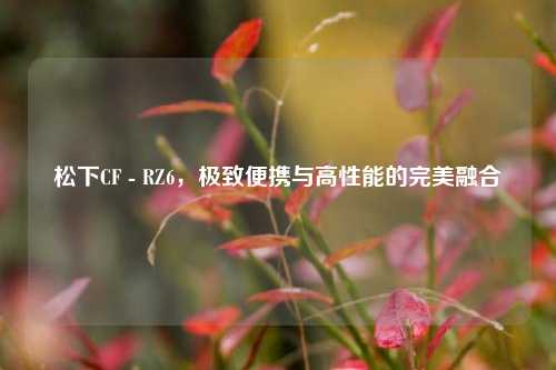 松下CF - RZ6，极致便携与高性能的完美融合