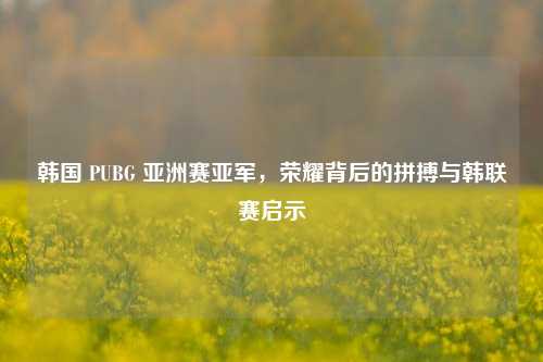 韩国 PUBG 亚洲赛亚军,荣耀背后的拼搏与韩联赛启示