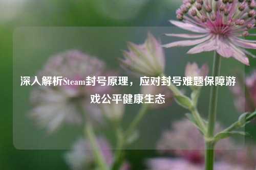 深入解析Steam封号原理,应对封号难题保障游戏公平健康生态
