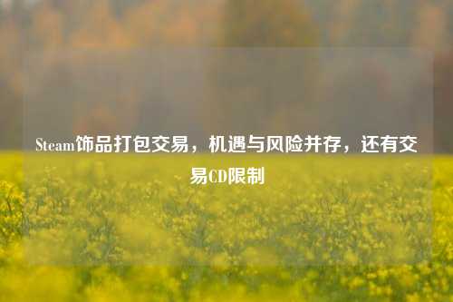 Steam饰品打包交易，机遇与风险并存，还有交易CD限制
