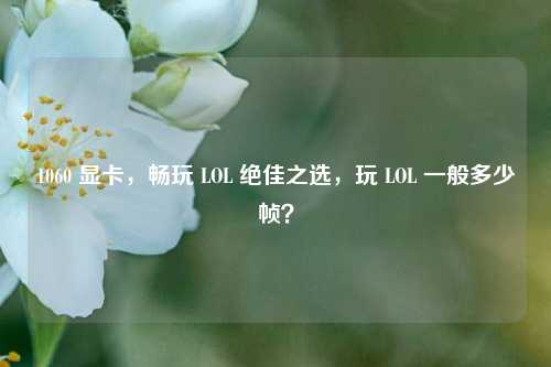 1060 显卡,畅玩 LOL 绝佳之选,玩 LOL 一般多少帧?