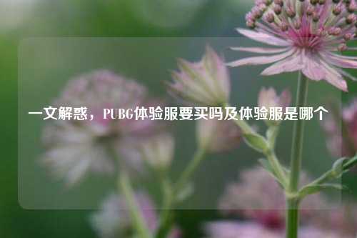 一文解惑,PUBG体验服要买吗及体验服是哪个