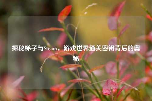 探秘梯子与Steam,游戏世界通关密钥背后的奥秘