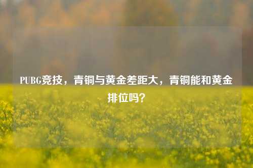 PUBG竞技,青铜与黄金差距大,青铜能和黄金排位吗?