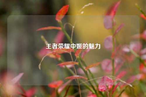 王者荣耀中姬的魅力