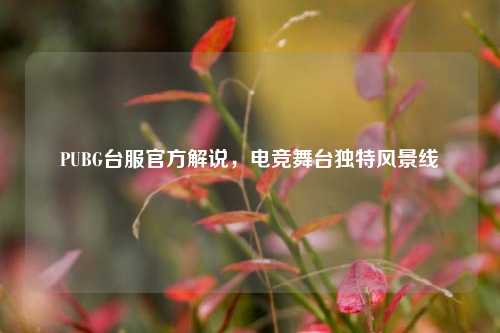 PUBG台服官方解说,电竞舞台独特风景线