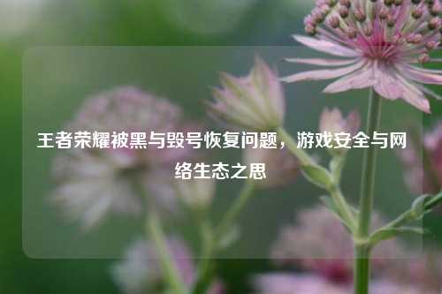 王者荣耀被黑与毁号恢复问题,游戏安全与网络生态之思