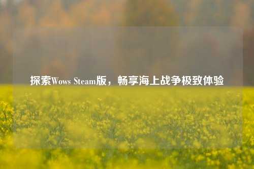 探索Wows Steam版,畅享海上战争极致体验