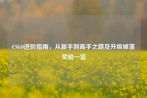 CSGO进阶指南，从新手到高手之路及升级掉落奖励一览