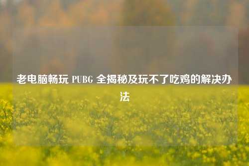 老电脑畅玩 PUBG 全揭秘及玩不了吃鸡的解决办法