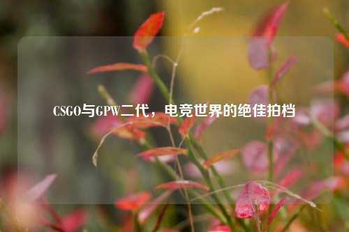 CSGO与GPW二代,电竞世界的绝佳拍档