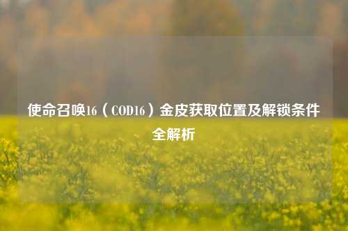 使命召唤16(COD16)金皮获取位置及解锁条件全解析
