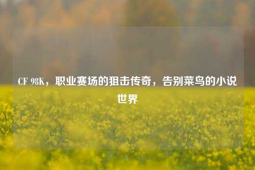 CF 98K,职业赛场的狙击传奇,告别菜鸟的小说世界