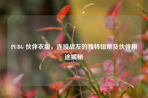 PUBG 伙伴衣服，连接战友的独特纽带及伙伴用途揭秘