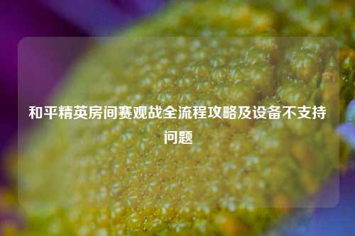 和平精英房间赛观战全流程攻略及设备不支持问题