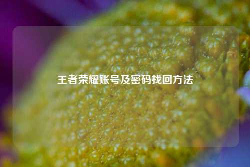 王者荣耀账号及密码找回方法