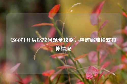 CSGO打开后缩放问题全攻略,应对缩放模式拉伸情况