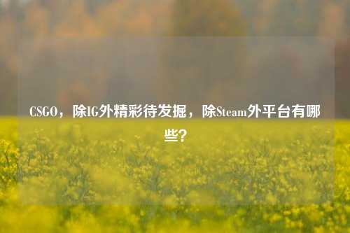 CSGO,除IG外精彩待发掘,除Steam外平台有哪些?
