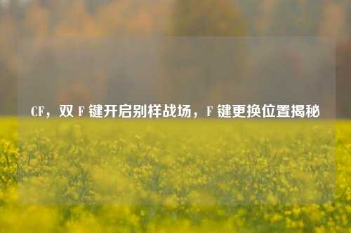 CF,双 F 键开启别样战场,F 键更换位置揭秘