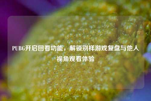PUBG开启回看功能,解锁别样游戏复盘与他人视角观看体验