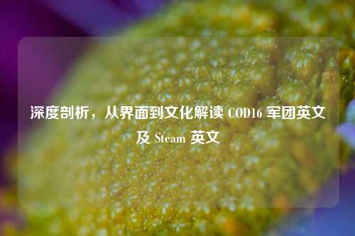 深度剖析,从界面到文化解读 COD16 军团英文及 Steam 英文