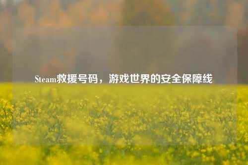 Steam救援号码,游戏世界的安全保障线