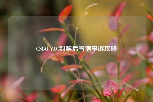 CSGO VAC封禁后写信申诉攻略