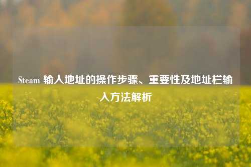 Steam 输入地址的操作步骤、重要性及地址栏输入方法解析