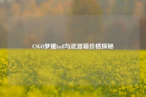 CSGO梦魇buff与武器箱价格探秘