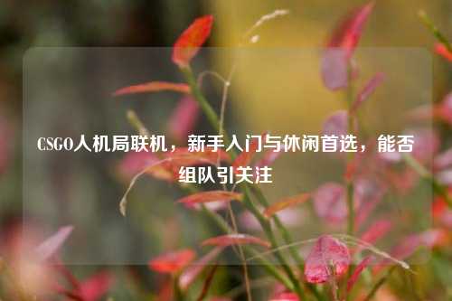 CSGO人机局联机,新手入门与休闲首选,能否组队引关注
