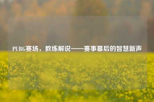 PUBG赛场,教练解说——赛事幕后的智慧新声