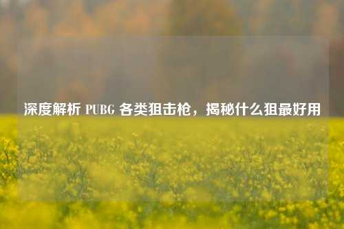 深度解析 PUBG 各类狙击枪,揭秘什么狙最好用